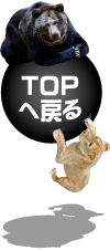 Return to Top ▲